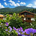 Gaestehaus Schoenfeld 4* Reit im Winkl